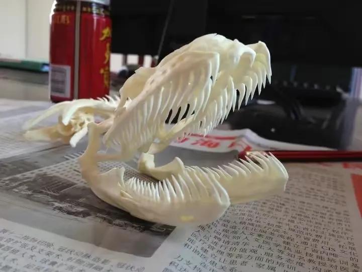 农村用雄黄粉驱蛇的正确方法,居家防蛇雄黄驱蛇的正确方法