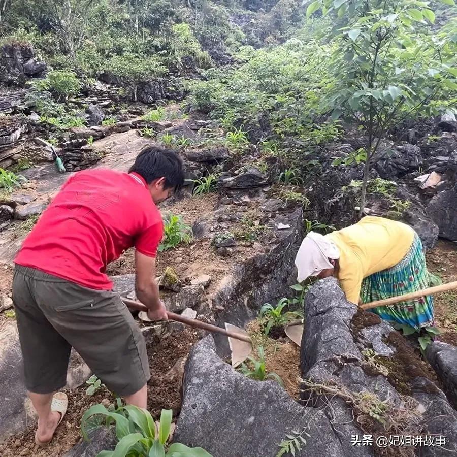中国小伙在越南娶了个韩国姑娘,越南中国大叔娶年轻越南姑娘