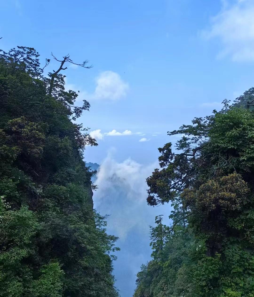 四川旅游攻略最值得推荐的景点,四川风景区旅游景点排行榜前十名