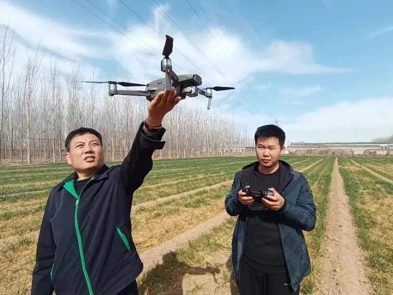 保险期货支农,保险期货服务乡村振兴