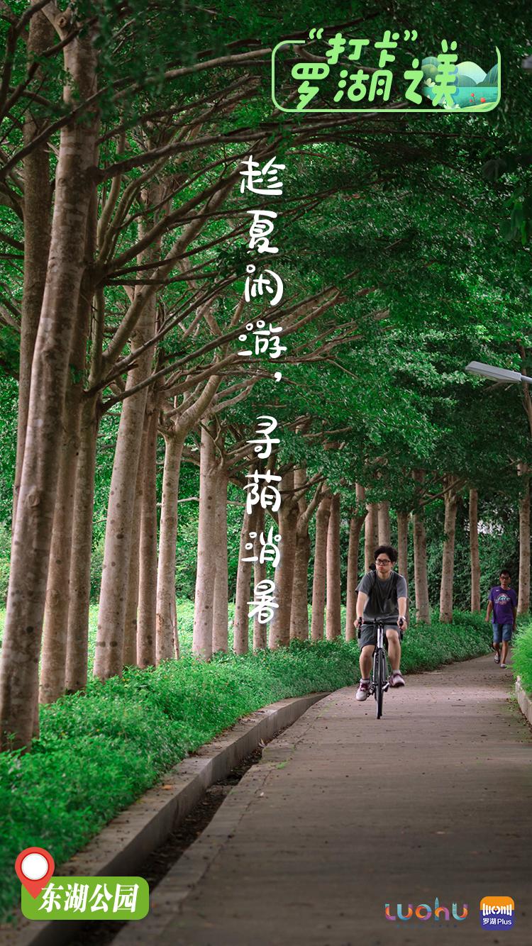 罗湖游玩景点打卡攻略,罗湖小众打卡景点推荐