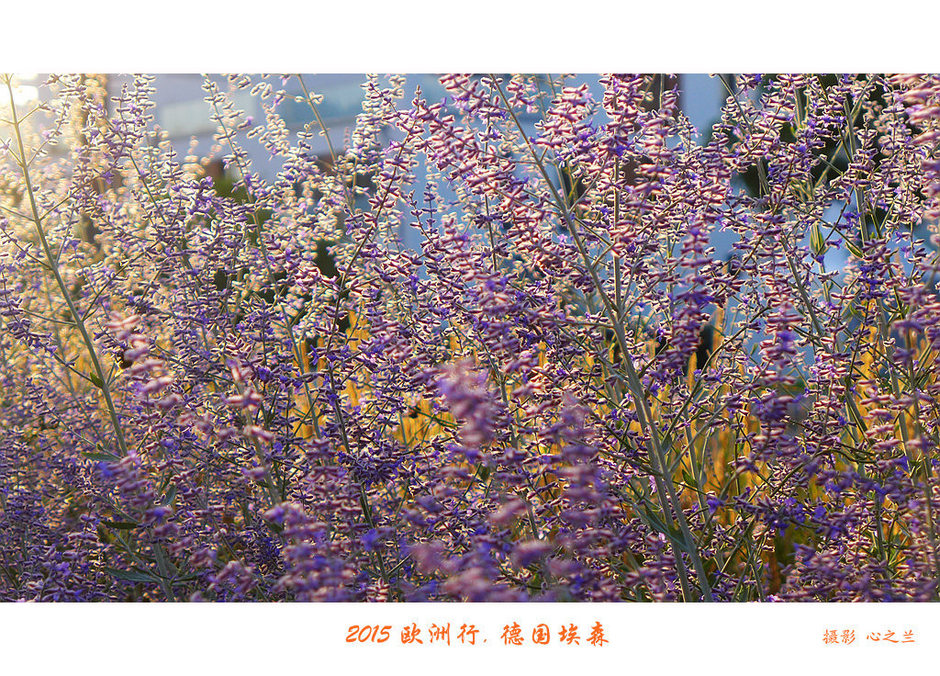 中西欧,中西欧旅游攻略