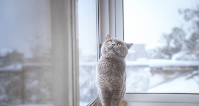 微头条应该怎么发会吸引关注,微头条怎样快速增加粉丝