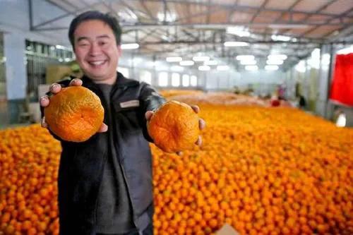 农村未来最吃香的2个行业,2022年最吃香的行业