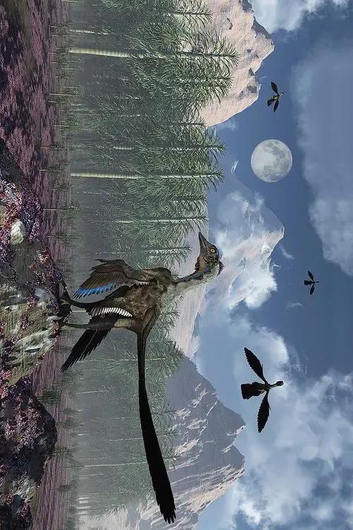 始祖鸟恐龙,始祖鸟和安踏什么关系