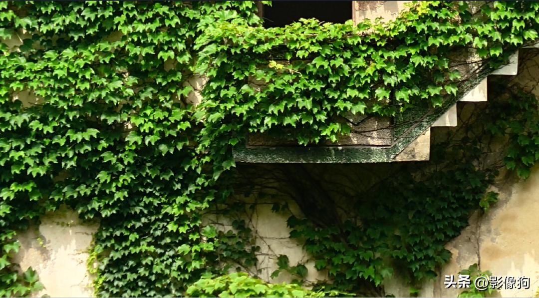 索尼xperia1v深度测评,索尼xperia1v深度评测