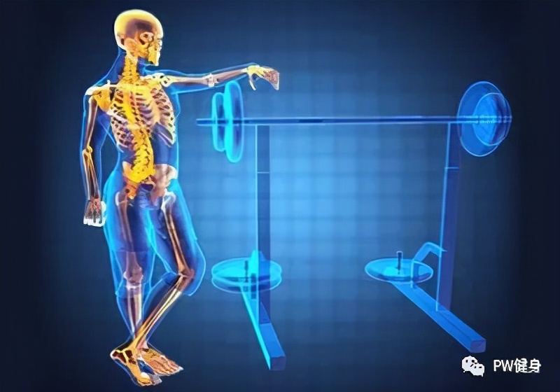 额外训练,路易斯练肌肉