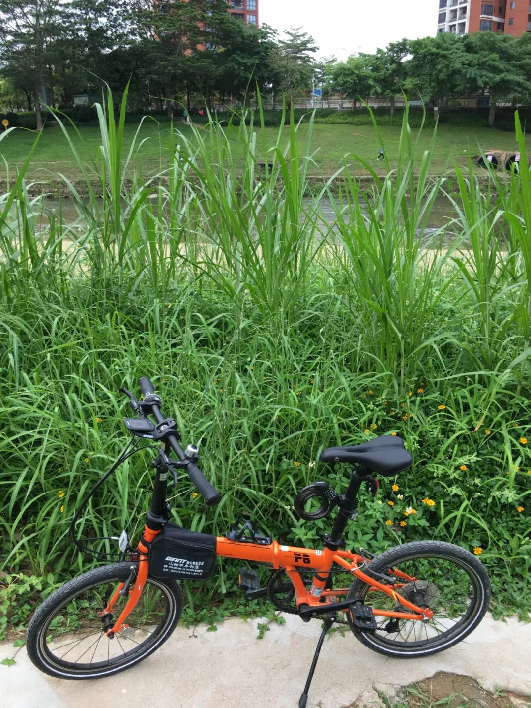 《旭光骑行深圳》第22站——龙华区观湖街道