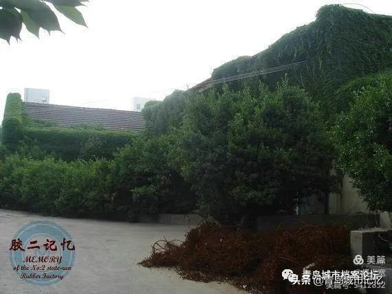 橡胶二厂现状如何,无锡第二橡胶老厂在哪里