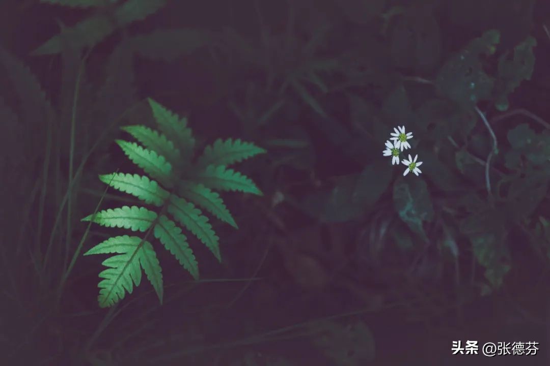 二婚能不能幸福,主要看这3点