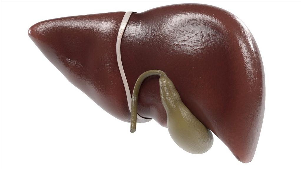 胃疼要警惕五种病,胆囊炎与胃疼的鉴别