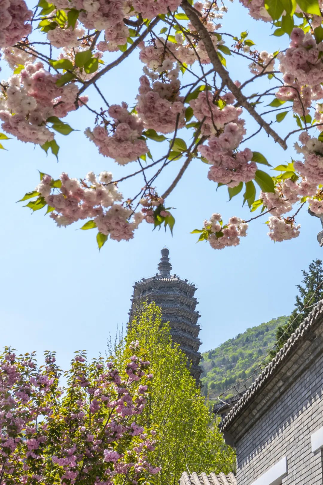 雍和宫北京最旺的古寺,不要再去人挤人的景点