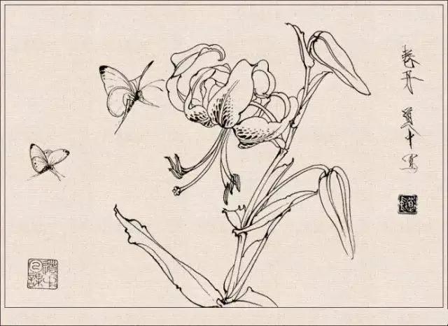 工笔草虫白描王道中,写意花鸟画草虫绘画过程分享