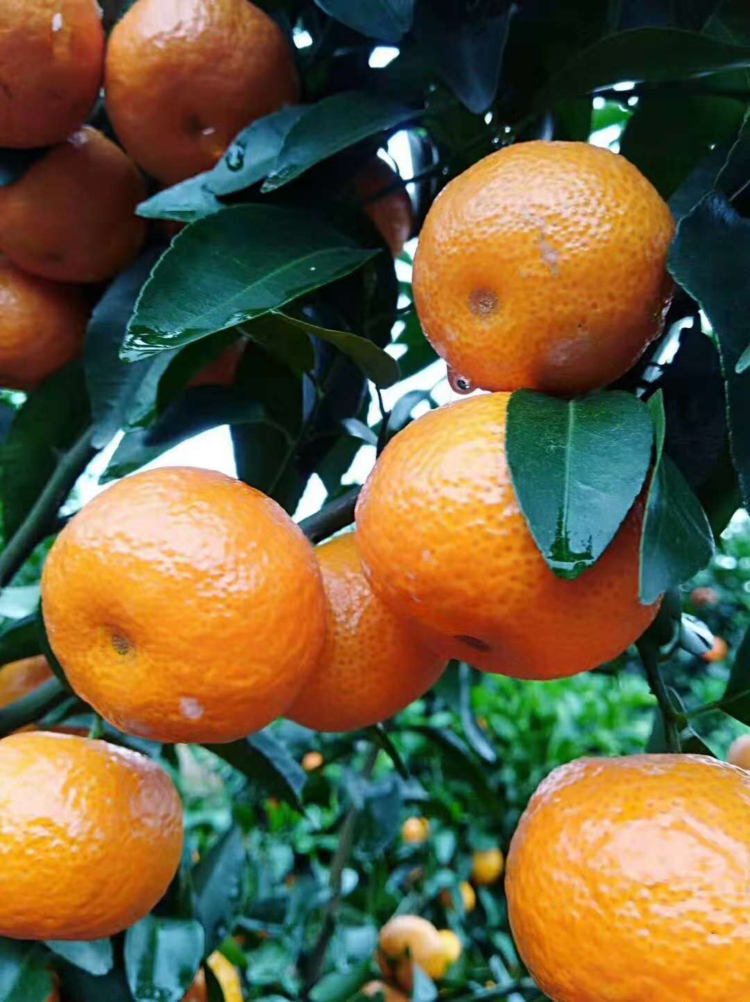 行业不景气怎么办,行业不景气如何创业