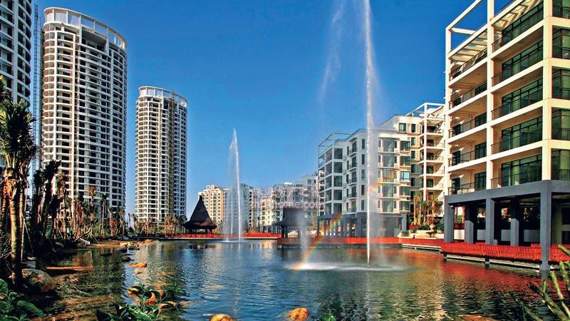 深圳光明和龙岗哪个发展潜力大,坪山发展有潜力还是龙岗有潜力