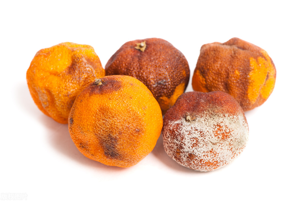 南方的回南天到底有多可怕,南方的朋友回避回南天