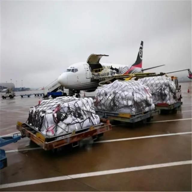 新西兰风景冷知识简介,真实的新西兰你了解多少