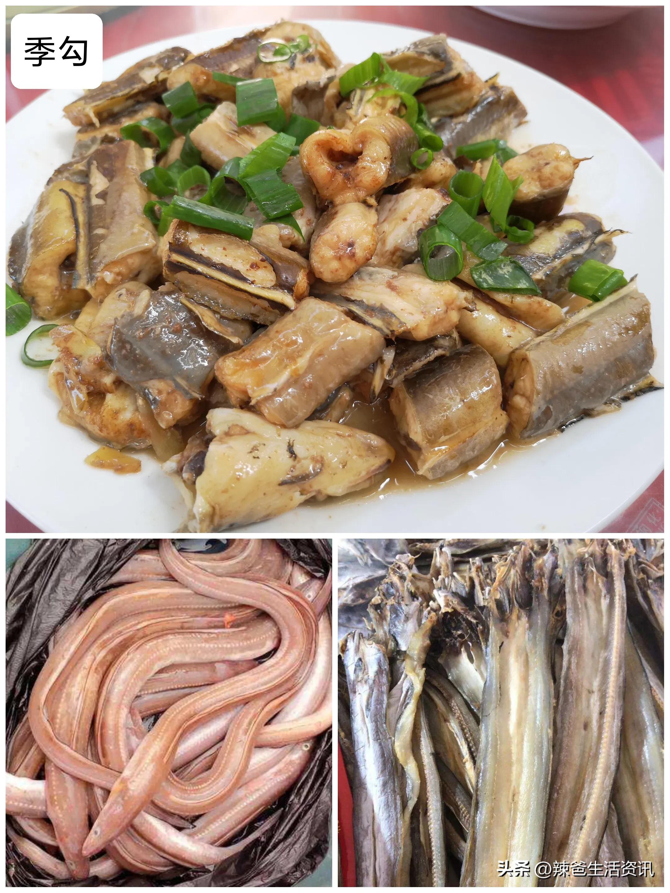 好吃不贵的野生海鱼,十种好吃不贵的正宗海鱼