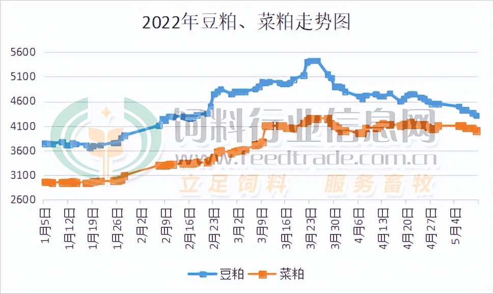 菜粕豆粕今年为什么暴涨,豆粕今天为何大跌