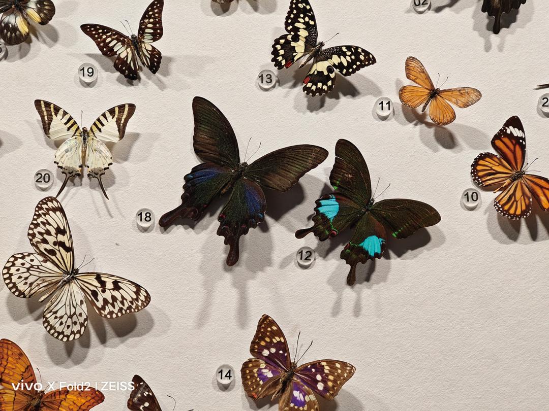 vivoxfold2深度评测值得买吗,vivo大折叠xfold2白色