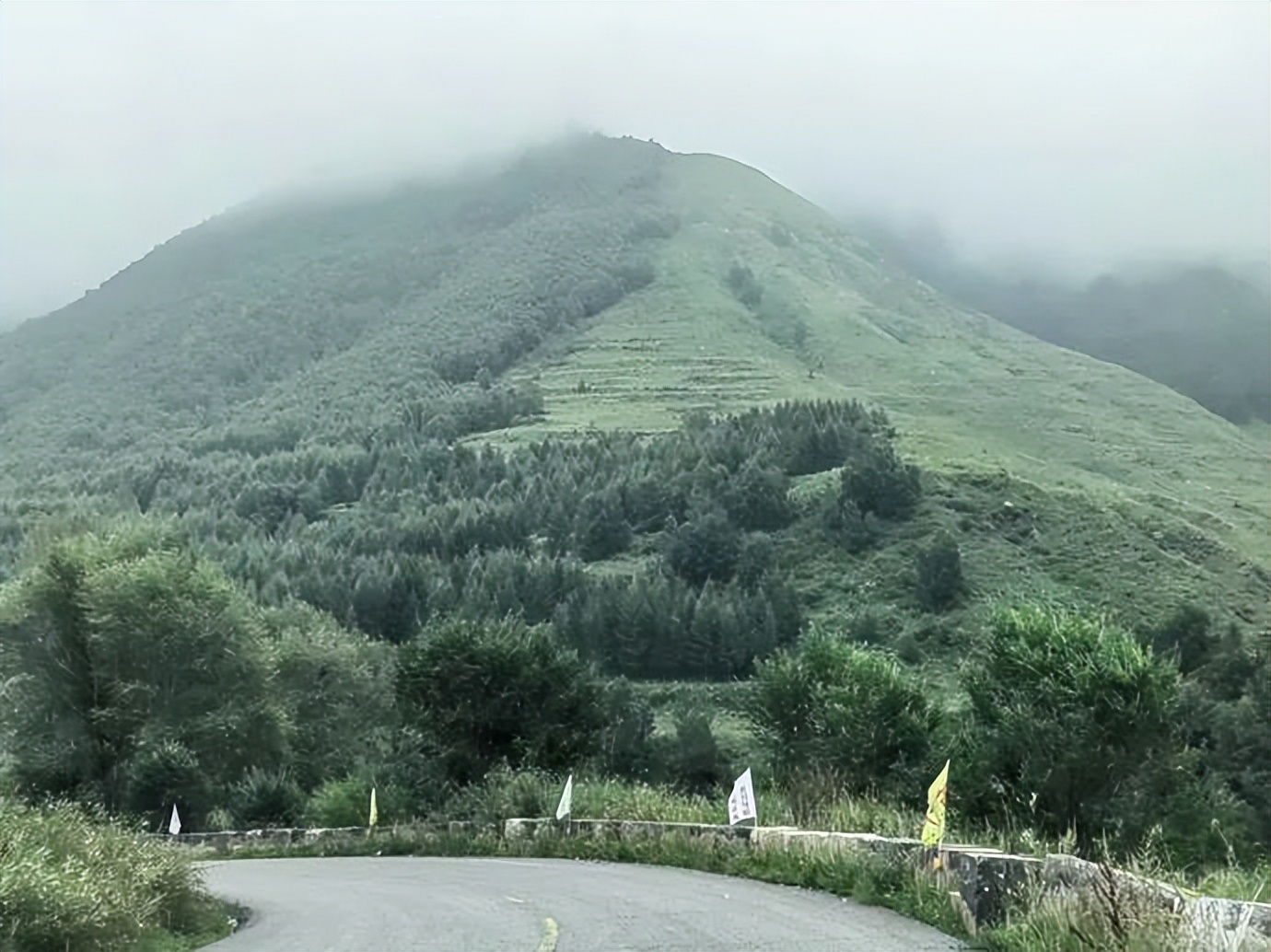 灏忓ぉ灞遍夯鐢板箔鏅尯鍦ㄥ摢,楹荤敯宀皬澶╁北鐢ㄩ绾﹀悧