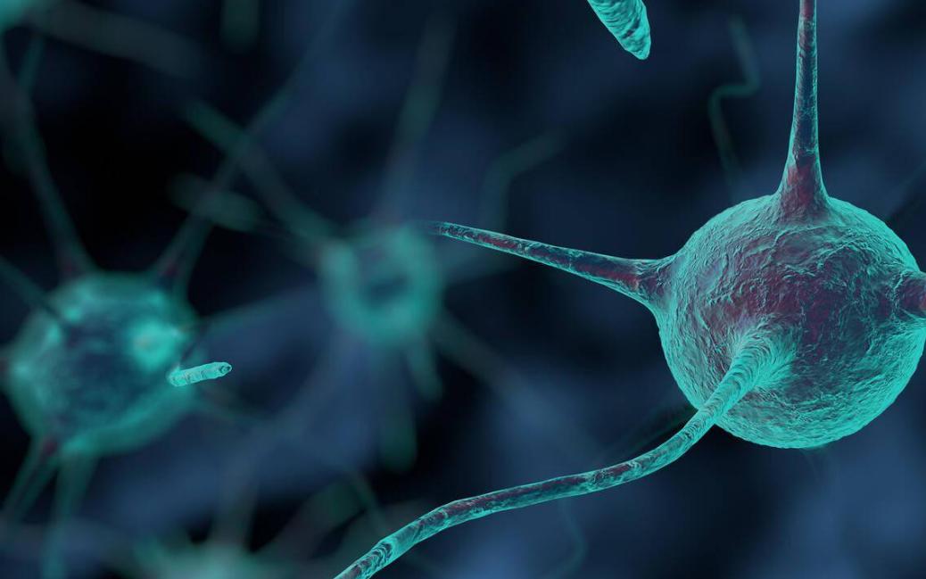 长期吃三七粉容易得心梗和脑梗吗,喝三七粉能预防心梗脑梗吗