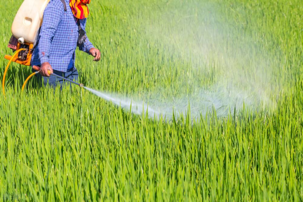 农药购买,农药网购哪里最安全