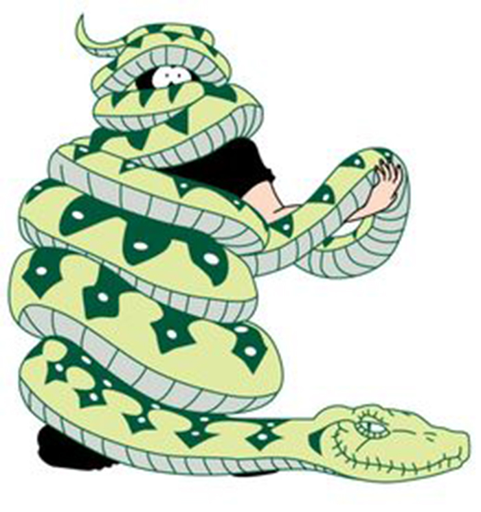 巨蟒吞下的是什么,被巨蟒咬上一口是什么感觉