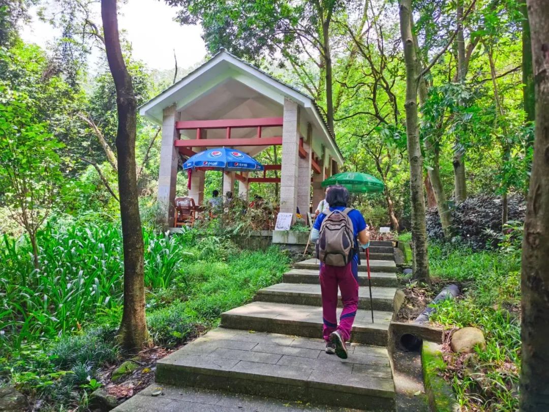 徒步登山我健康我快乐,广州火炉山爬山最佳地点