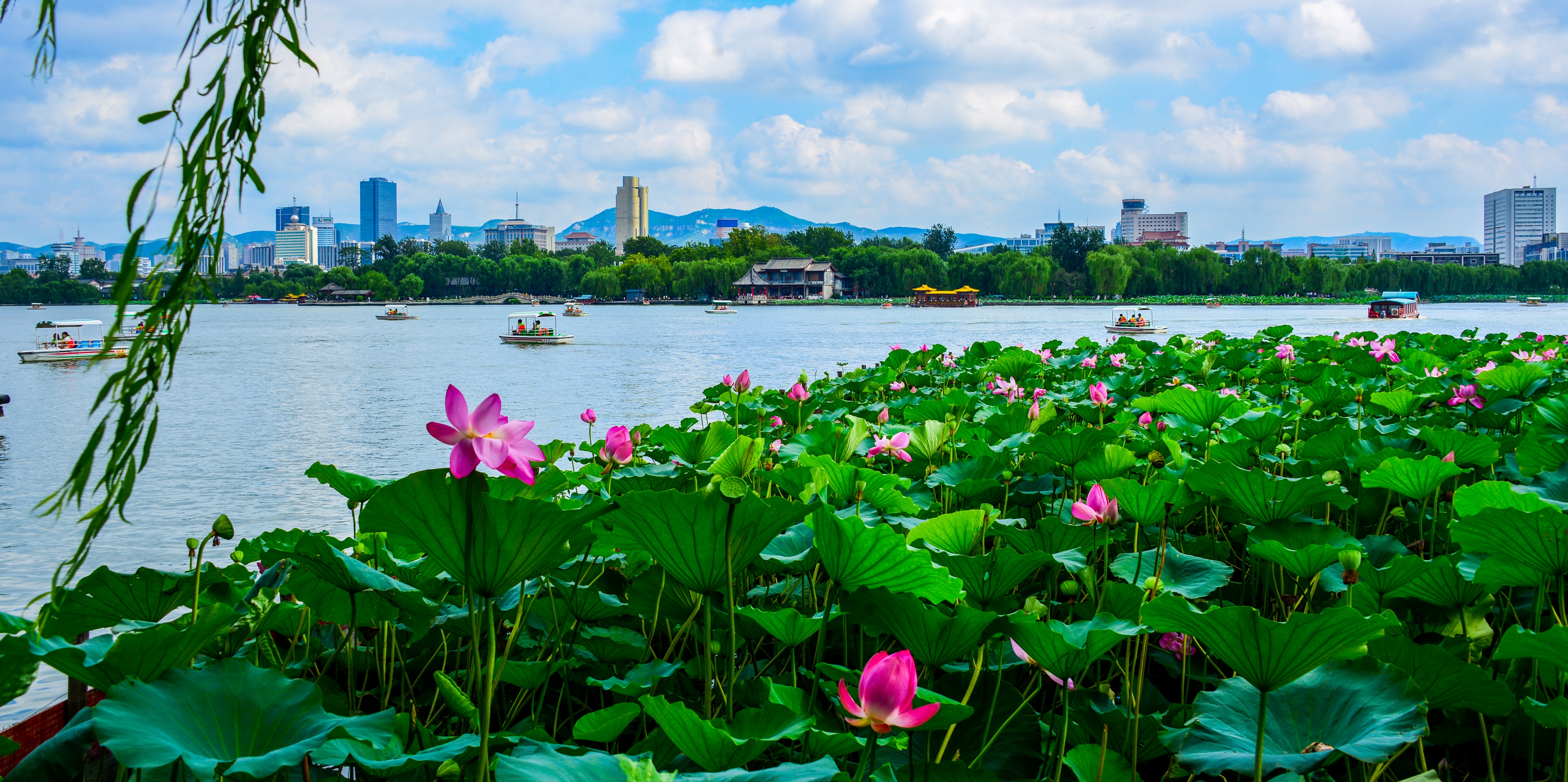 大明湖是天下第一湖吗,美丽的大明湖清澈见底