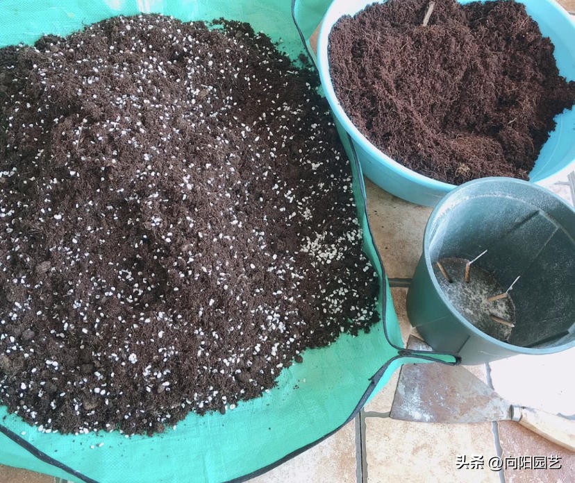 哪种进口泥炭土比较好,进口泥炭土大全