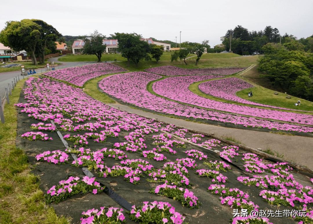 20年旅行总结,二十年游历分享