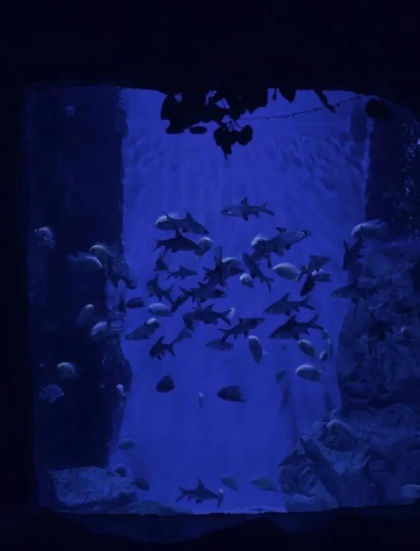 分手后伤感文案撕心裂肺,表达分手后还爱着对方的文案