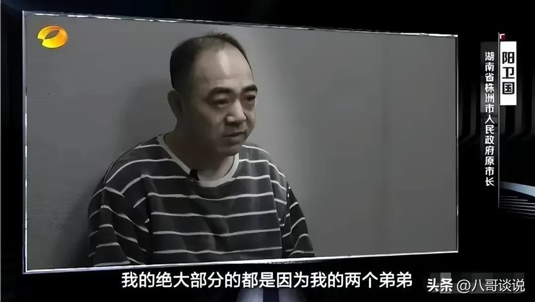 凌娅落网后，恶贯满盈的“太子奶”专案组浮出水面，个个身居要职