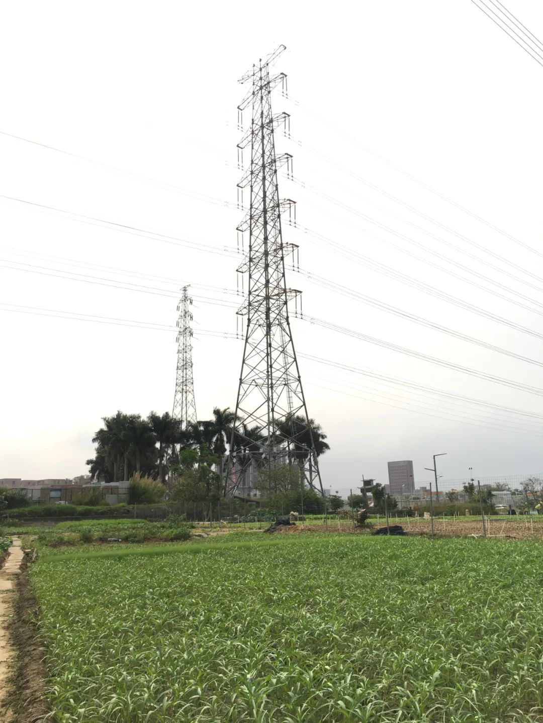 旭光车行雅迪电动车,旭光单车