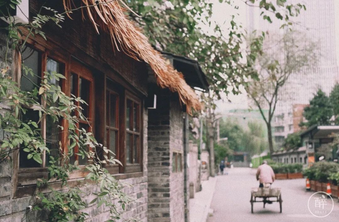 成都最有烟火气的老街,成都比较有特色的老街