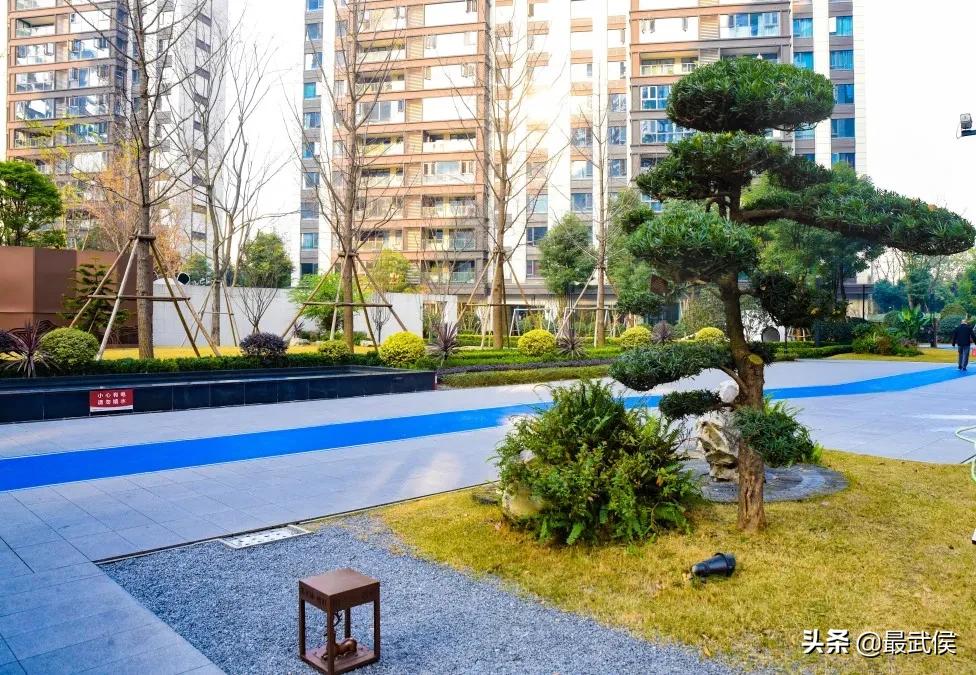 有一种幸福叫公园绿地就在家门口,有一种幸福叫阳光的温暖