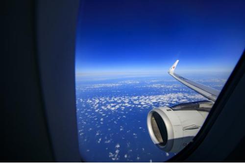 戴隐形眼镜睡觉忘了摘会不会失明,忘摘隐形眼镜眼球变白