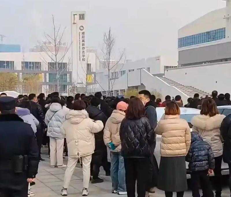 咸阳高新区存志学校最新消息,咸阳高新存志学校