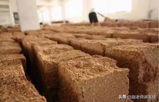 100斤粮食能酿造多少纯粮酒,100斤粮食能酿多少斤53度的酒