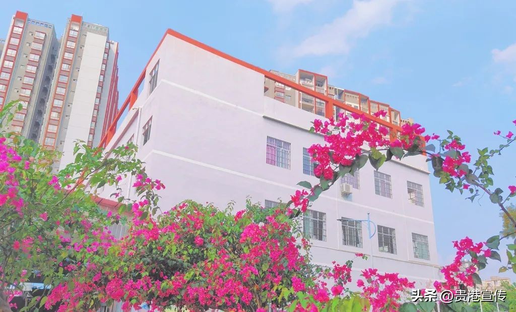 你好大安,大安高中联系方式