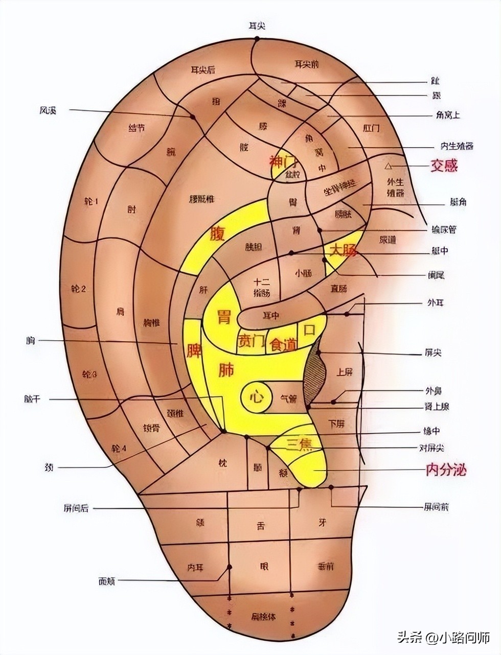 压力性尿漏怎么样能治,压力性尿湿症