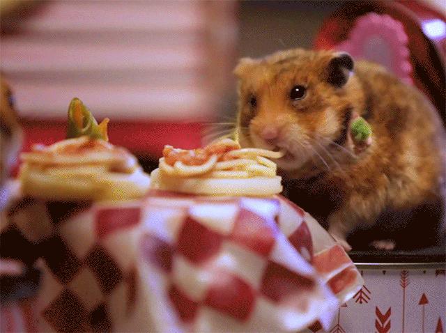 经常便秘的人群应该吃哪种食物,什么食物才是真正有效的便秘救星