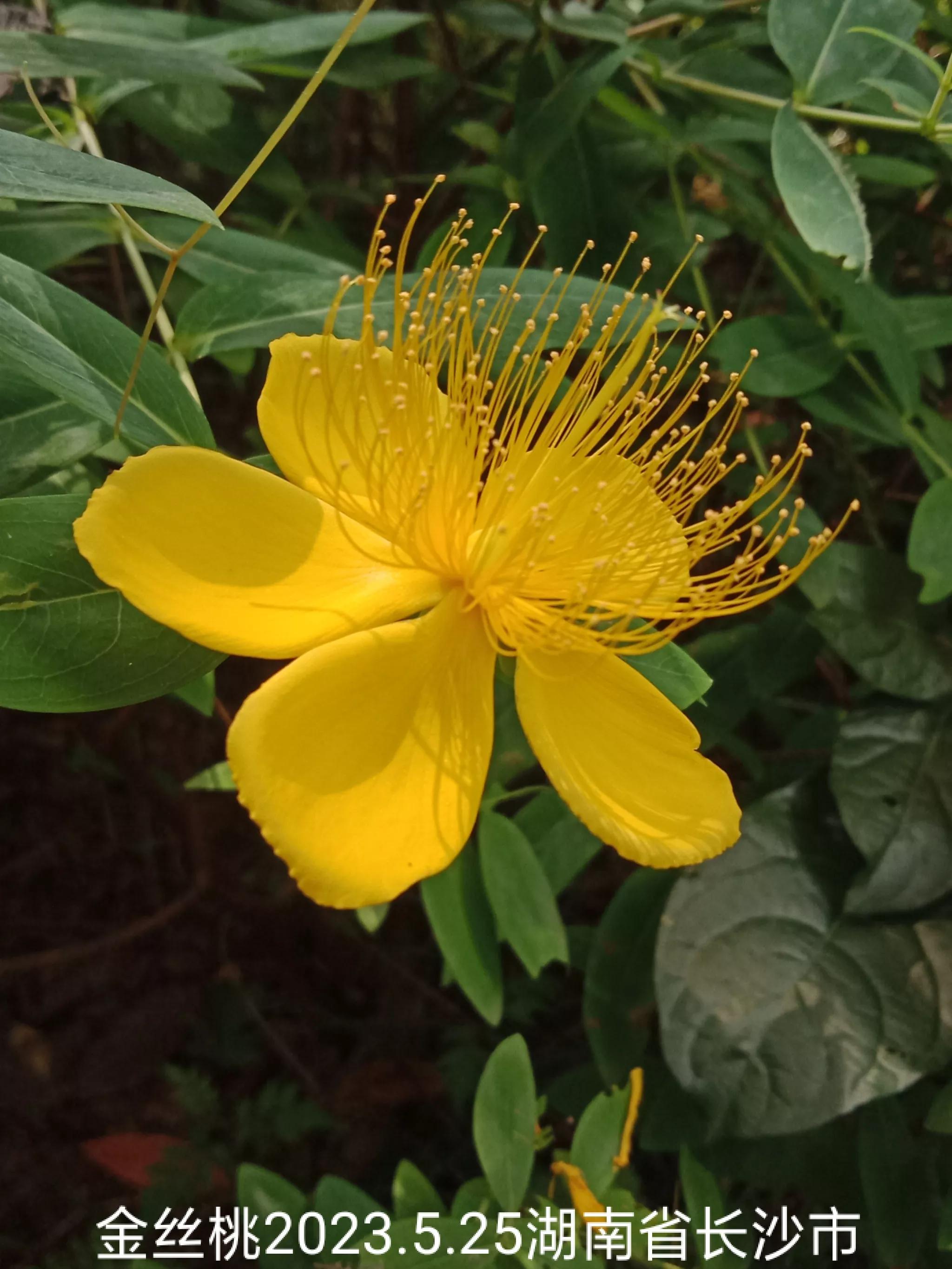 微信群没有保存下来怎么找回来,怎么找回没保存的微信群