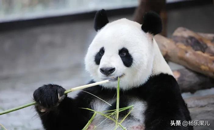 上海浦东新区北蔡镇,上海浦东新区八佰伴附近的酒店