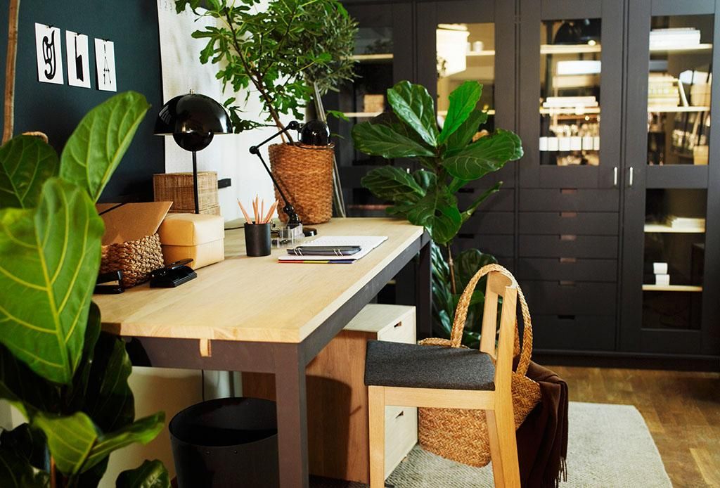 阳台顶部绿植氛围布置,绿植和吊灯氛围感