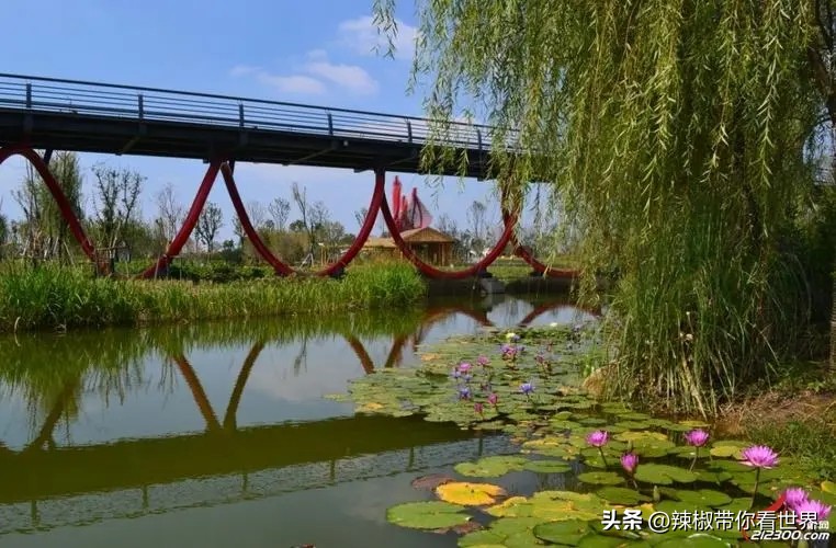 镇江一座美的让人吃醋的城市路牌,镇江一座美的让你吃醋的城市