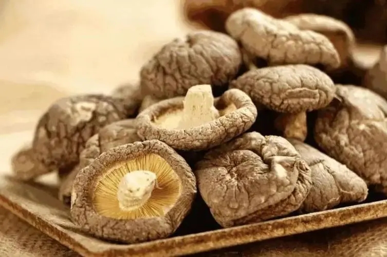 买香菇有什么建议,买香菇菜