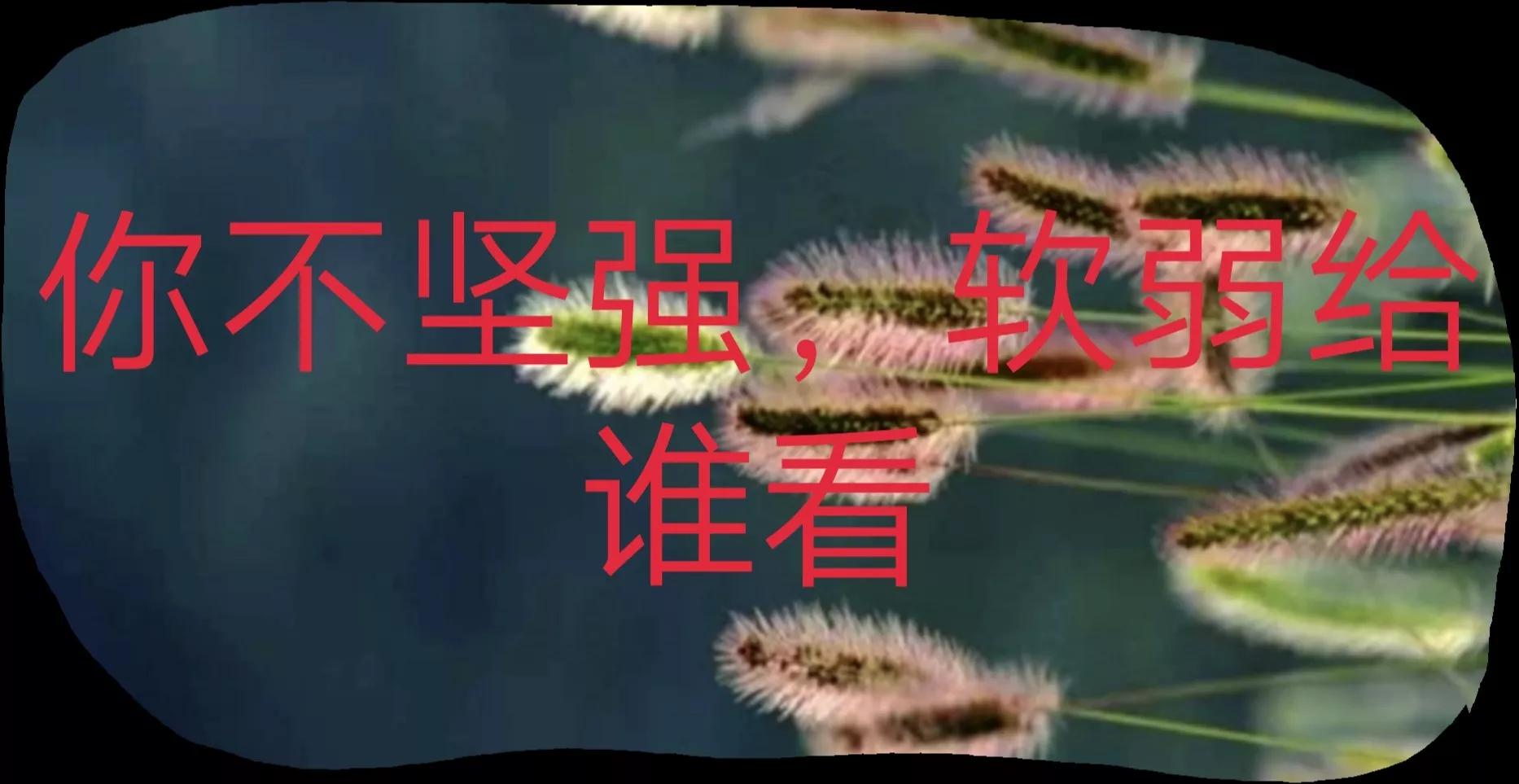 一个女孩有多坚强,一个女人到底是有多坚强