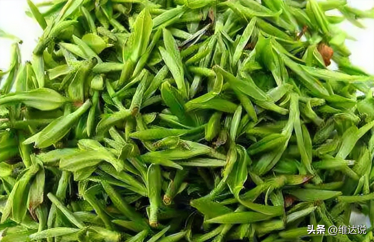 家庭喝茶必须将茶叶放冰箱保存吗,茶叶怎么保存放冰箱最好